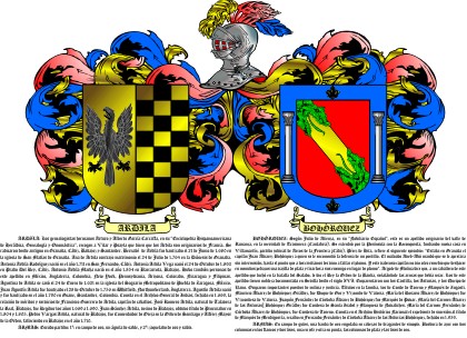 escudo heraldica doble